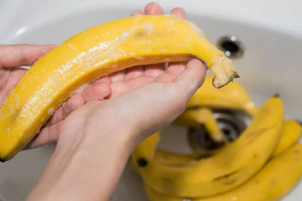 Wie man Fruchtfliegen loswird