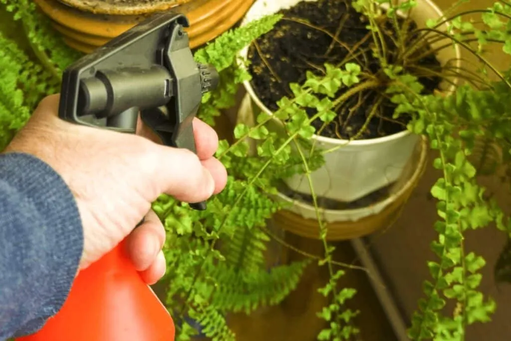 Schwarze Seife: Ein echter Allrounder im Garten